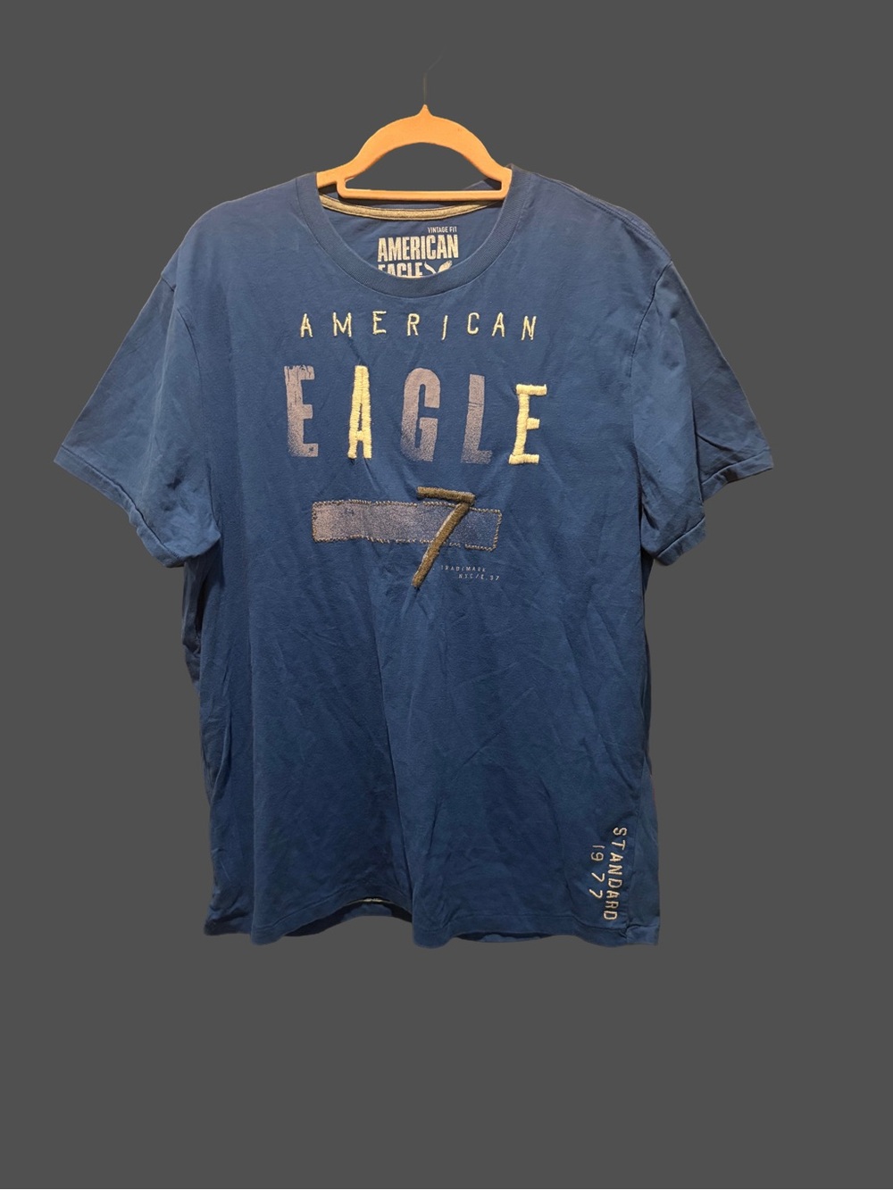 VINTAGE Y2K 2009 American Eagle Outfitters Men’s Blue Graphic Logo T-Shirt